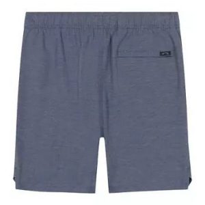 Alternative view of SHORT/BILLABONG