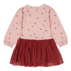 Alternative view of ROBE/NANO