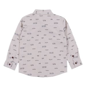 Alternative view of CHEMISE/NANO