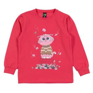 Alternative view of PYJAMA/NANO