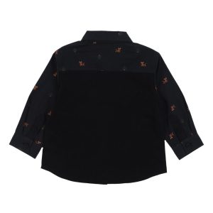 Alternative view of CHEMISE/NANO