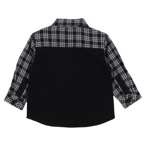 Alternative view of CHEMISE/NANO