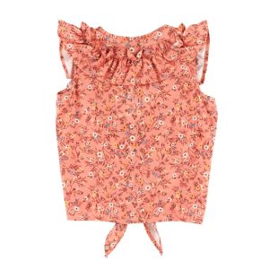Alternative view of CHEMISE/NANO
