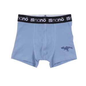 Alternative view of BOXER/NANO